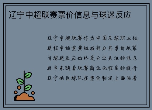 辽宁中超联赛票价信息与球迷反应
