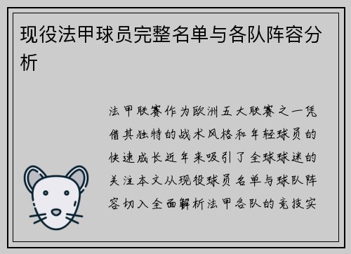 现役法甲球员完整名单与各队阵容分析